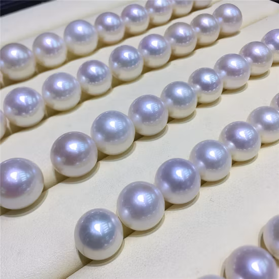 China Grüner Tee Jasmine Dragon Pearls A