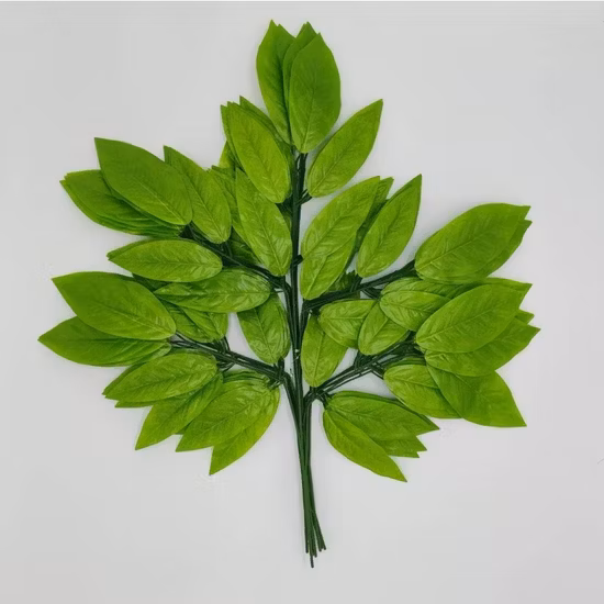 Großhandel mit frischem, duftendem Bio-Schönheitstee, aromatisierter Blumen-Jasmin-Grüntee, Bio-Teeblätter, Schlankheitstee